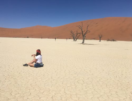 Day Trip to Sossusvlei