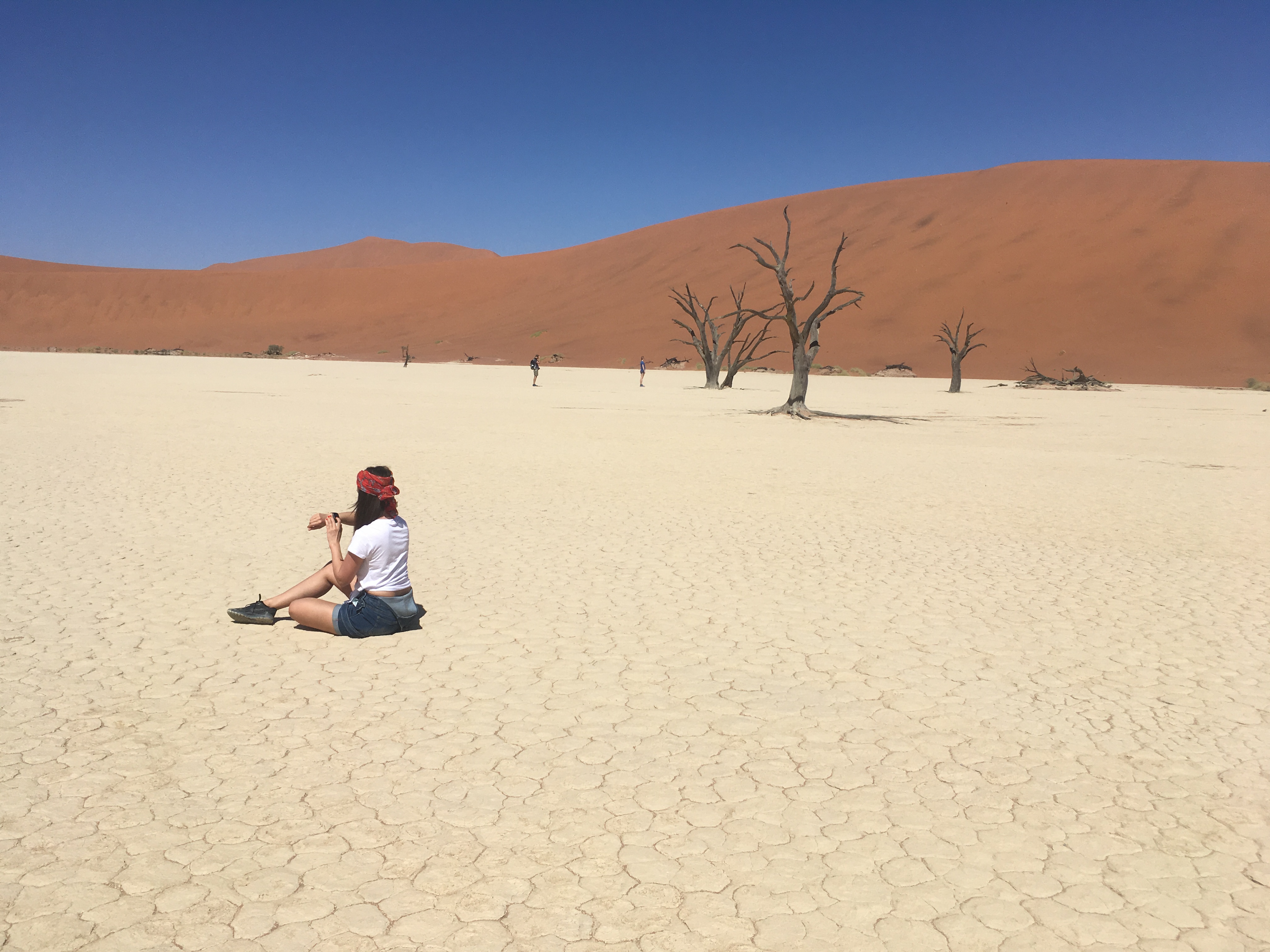 tours in namibia