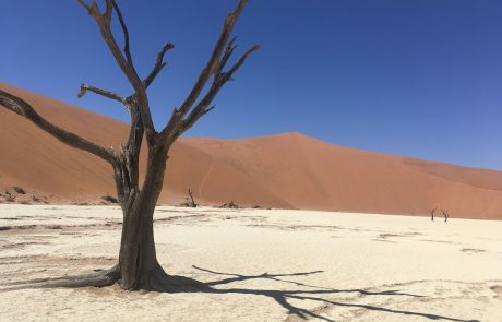 shuttle is namibia