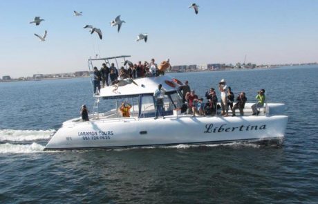 boat cruise in walvis bay namibia