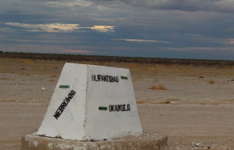 road marks in etosha