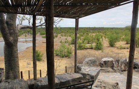 waterhole in Halali