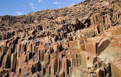 Petrified forest, Khorixas tour in namibia