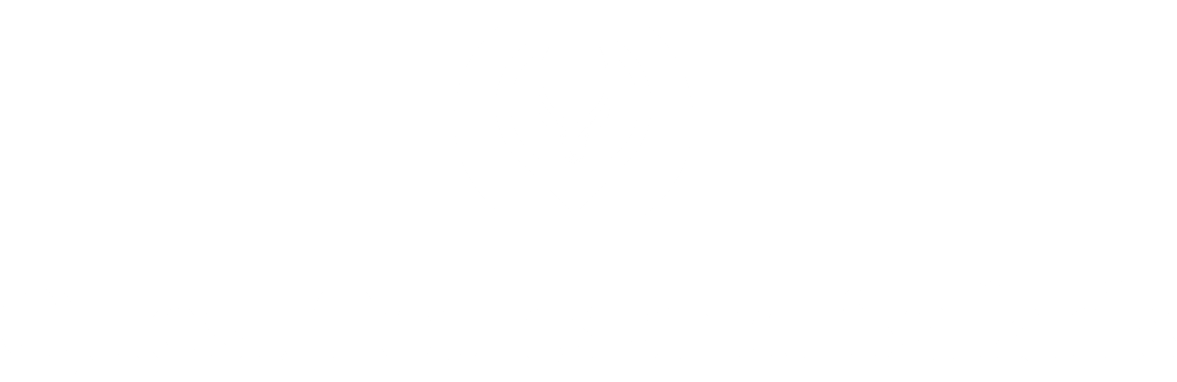 Quest Transfers and Tours